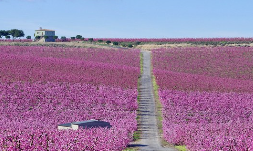 Imagen de portada de la guía de Spain